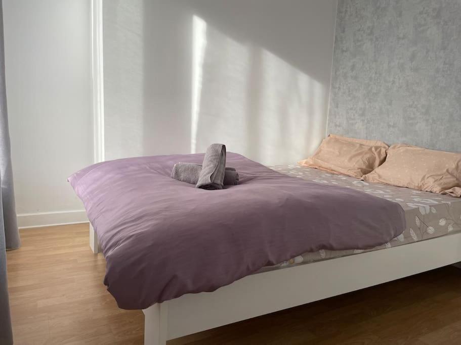 Apartment Entier Big *